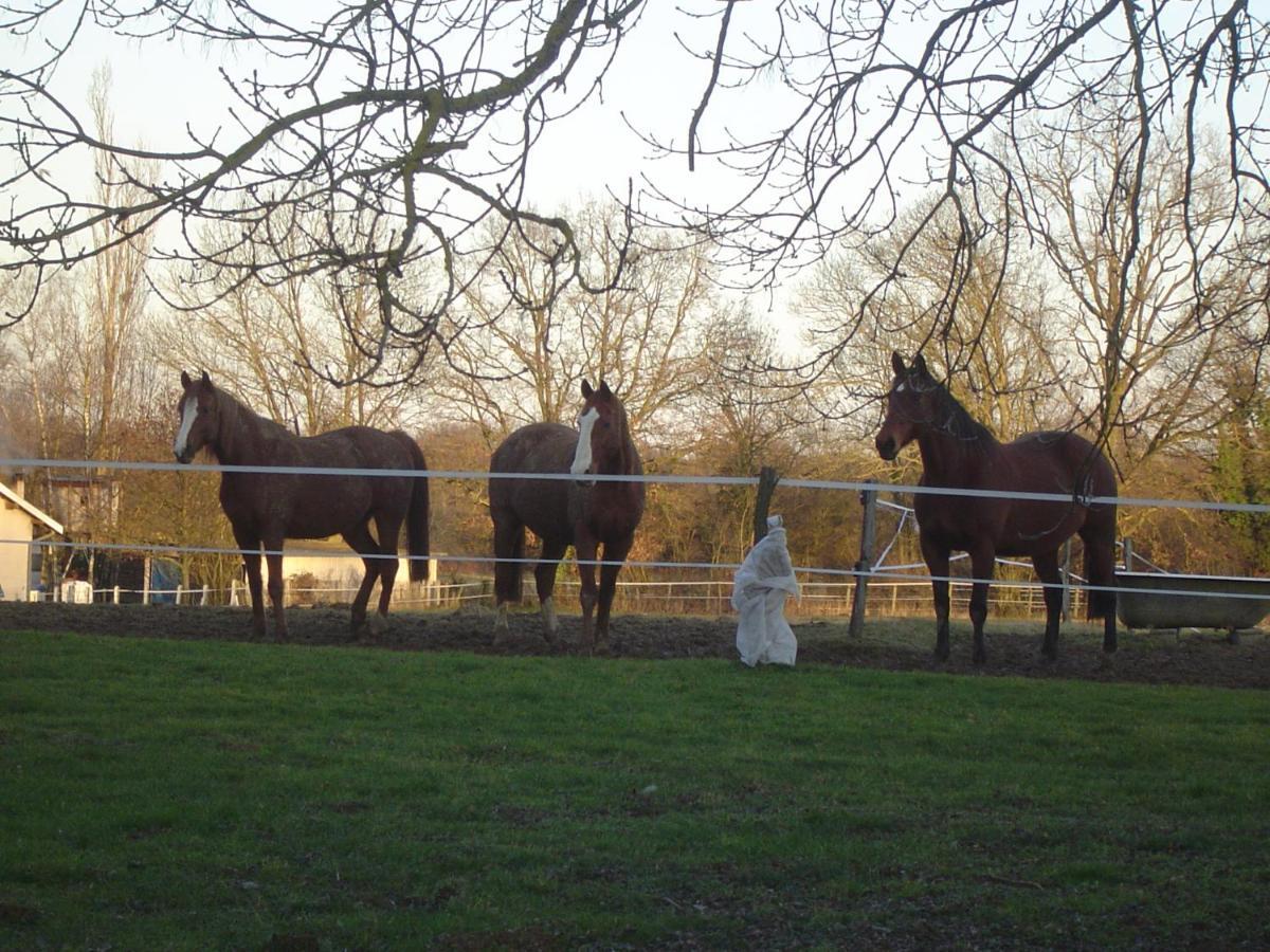 Ferme Passion Bed & Breakfast Saint-Trivier-sur-Moignans Exterior foto