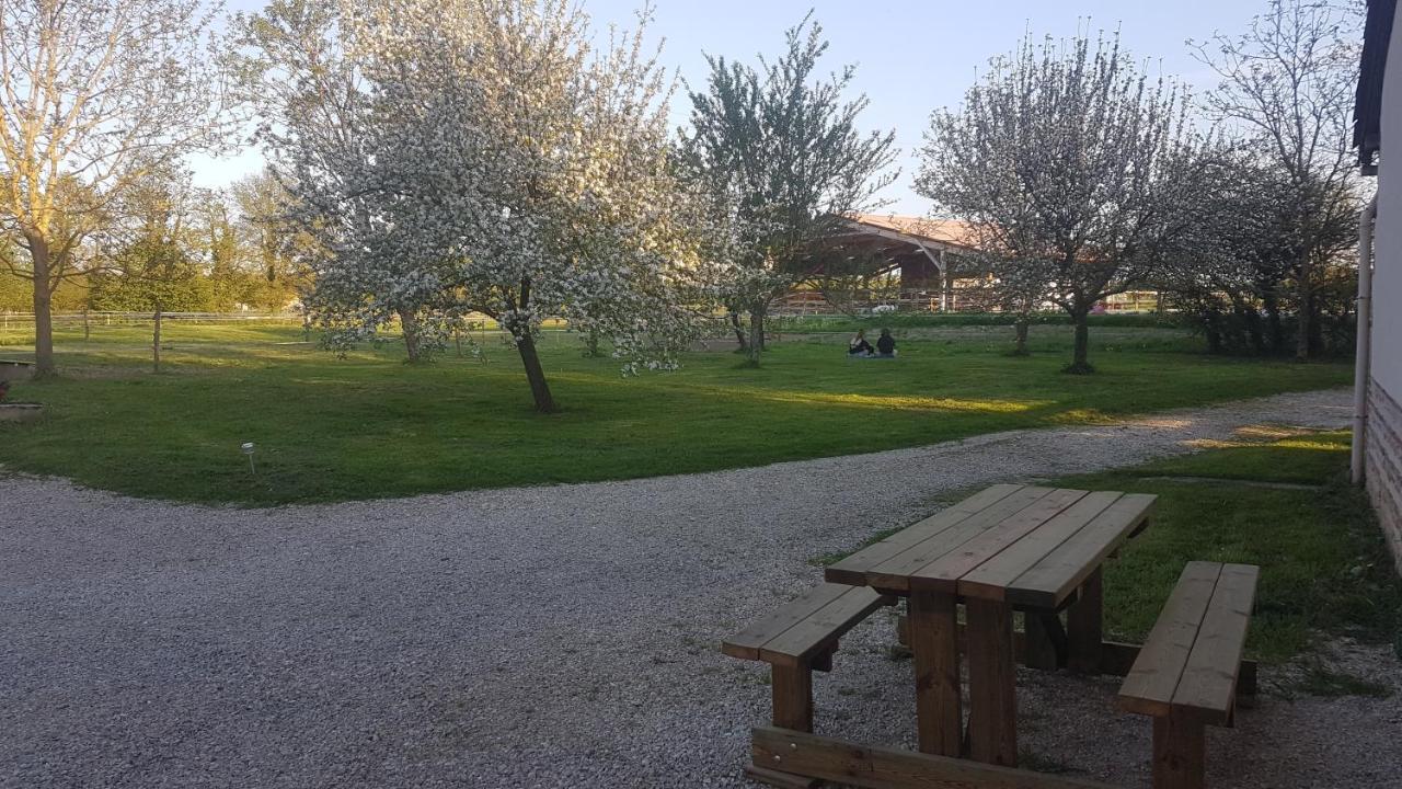 Ferme Passion Bed & Breakfast Saint-Trivier-sur-Moignans Exterior foto
